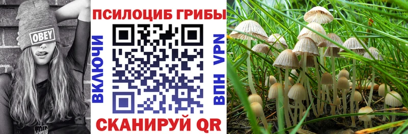 купить  цена  Краснотурьинск  Галлюциногенные грибы мухоморы 